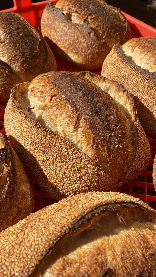 Sesame Sourdough